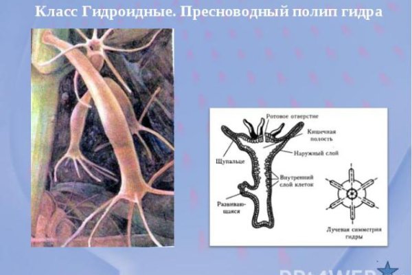 Кракен тор kraken014 com