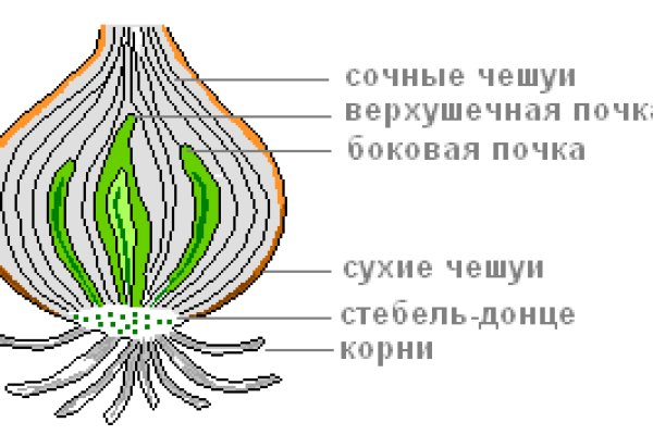 Ссылка на кракен tor